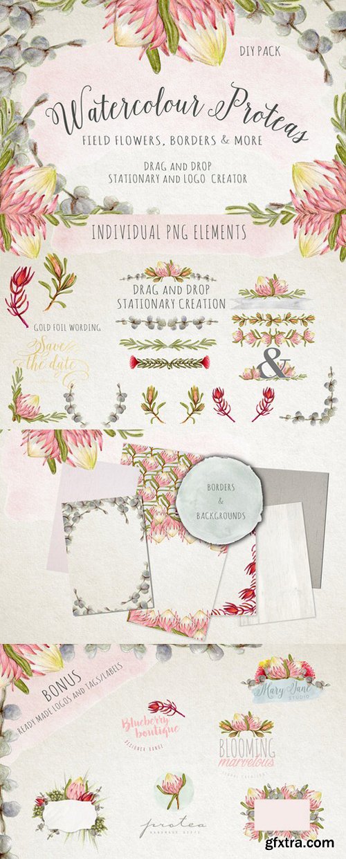 CM - Watercolour Protea Flower DIY Pack 558486