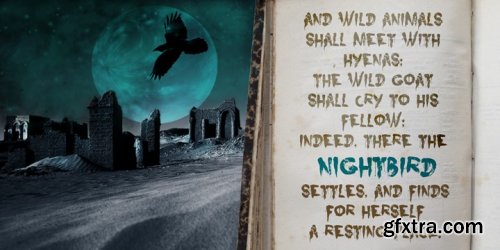 Nightbird Font