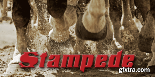 Stampede Font Family