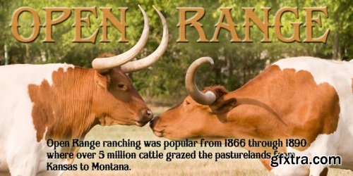 Open Range Font