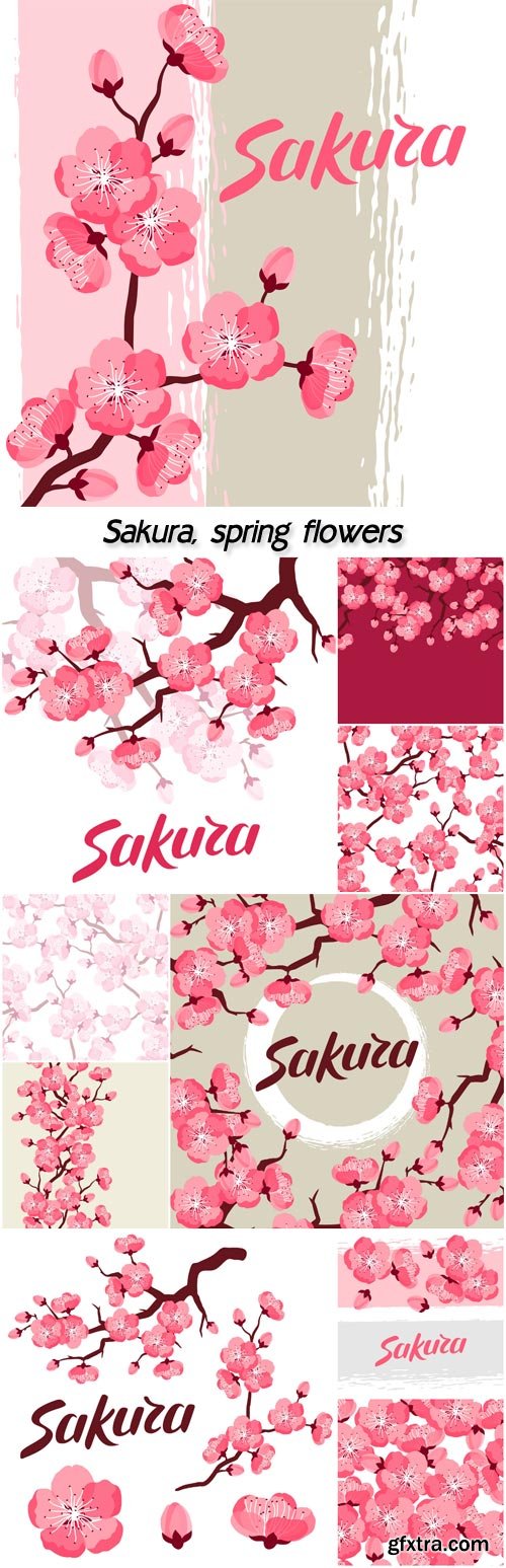 Sakura, vector background with spring flowers