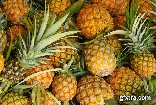 Collection pineapple fruit juice 25 HQ Jpeg