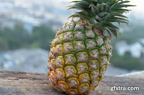 Collection pineapple fruit juice 25 HQ Jpeg