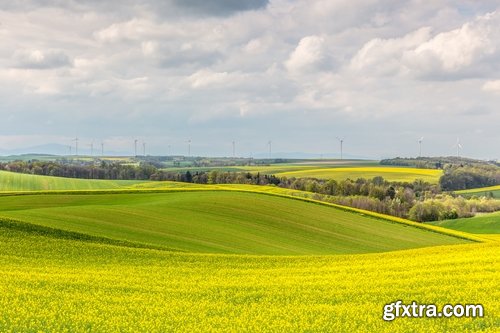 Collection colza rapeseed field flower alternative energy 25 HQ Jpeg