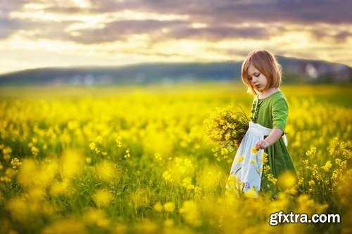 Collection colza rapeseed field flower alternative energy 25 HQ Jpeg