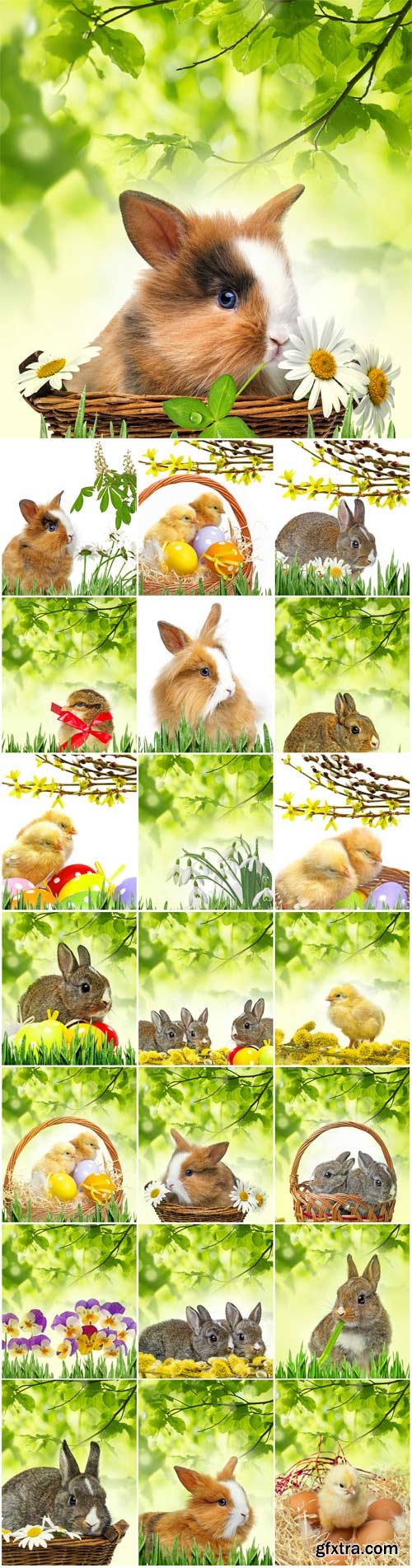 Easter bunny and chickens on a background of green leaves