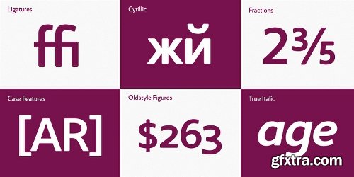 The Core Sans BR Font Family 14 FONTS $299