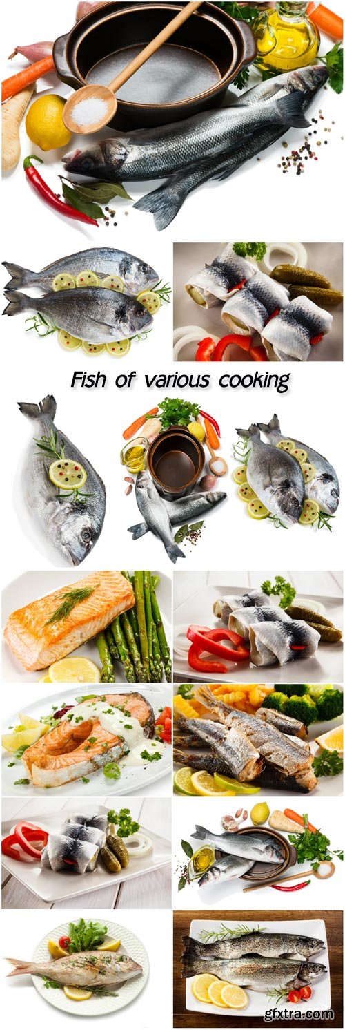 Fish of various cooking