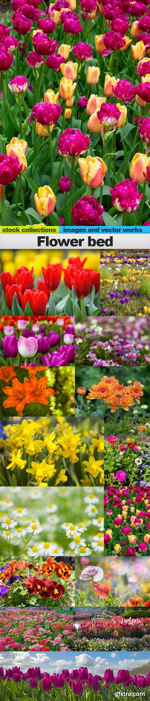 Flower bed, 15 x UHQ JPEG