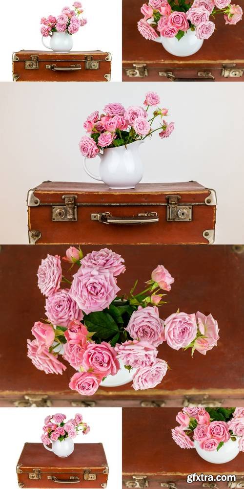 Pink Flowers in Jug