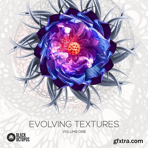 Black Octopus Sound Evolving Textures Volume 1 WAV-DISCOVER