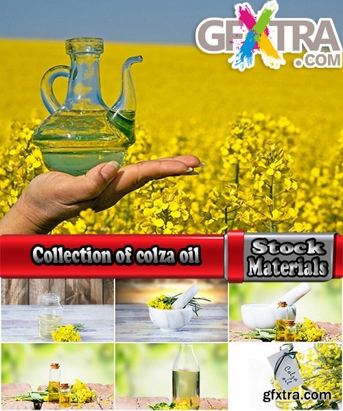 Collection of colza oil flower 25 HQ Jpeg