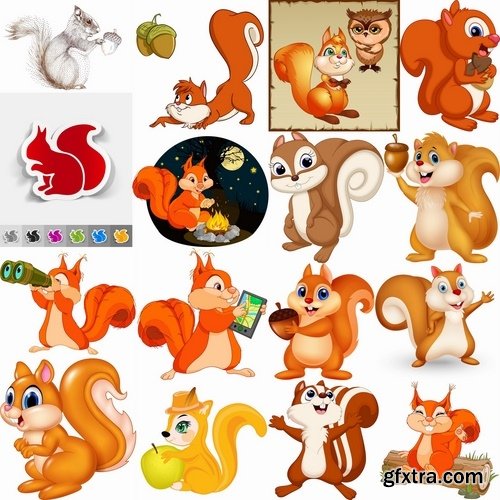 Collection squirrel rodent vector image 25 EPS