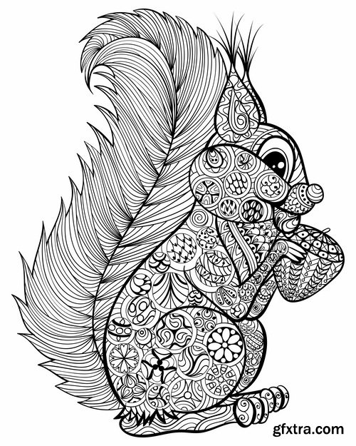 Collection squirrel rodent vector image 25 EPS