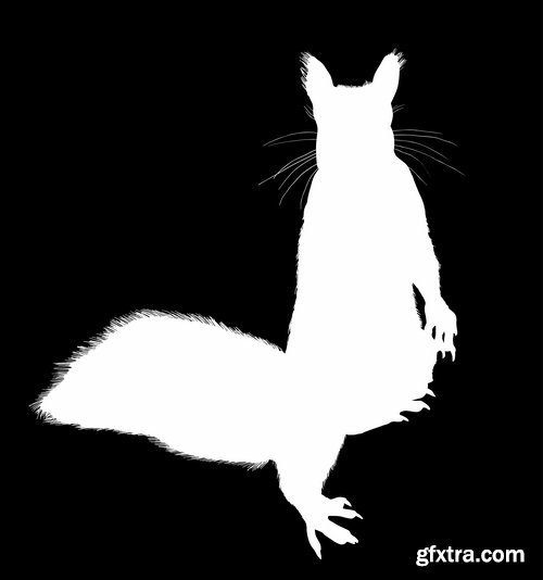 Collection squirrel rodent vector image 25 EPS