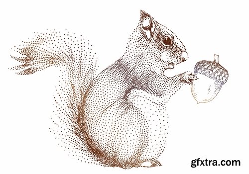 Collection squirrel rodent vector image 25 EPS