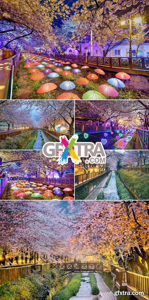 Stock Photo - Spring in South Korea