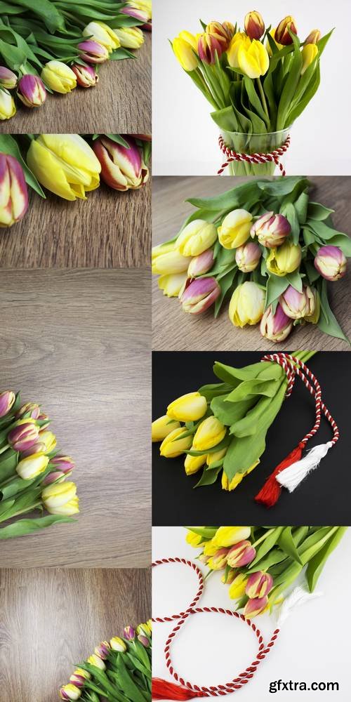 Beautiful Tulips