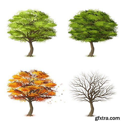 Tree four seasons