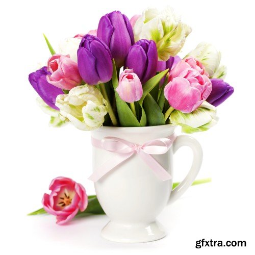 Spring flowers, hyacinths, crocuses and tulips