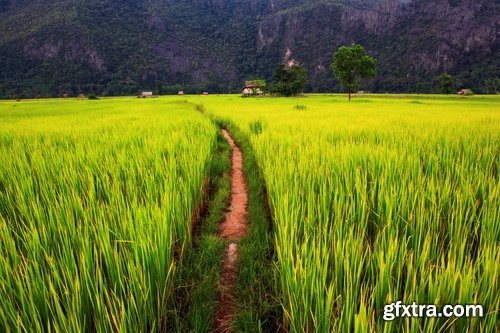 Collection Laos waterfall river landscape 25 HQ Jpeg