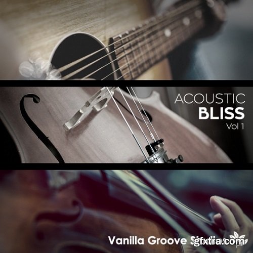 Vanilla Groove Studios Acoustic Bliss Vol 1 WAV-DISCOVER