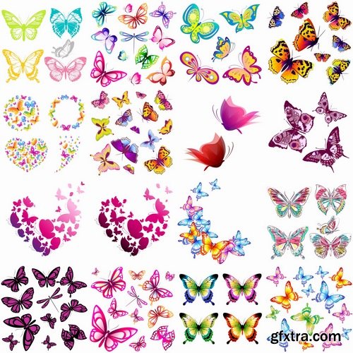 Collection of butterfly wing insect vector image 25 EPS