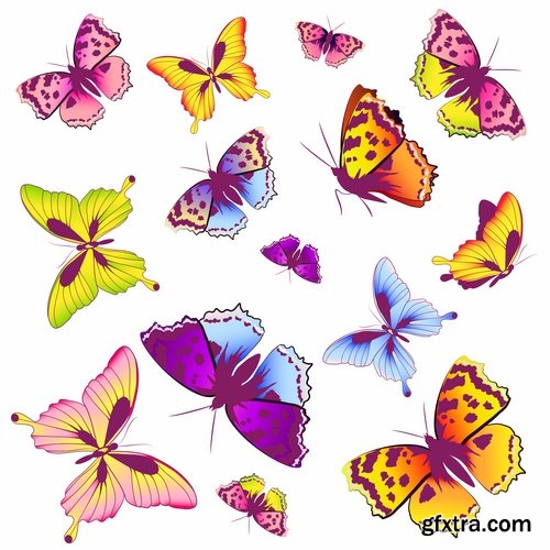 Collection of butterfly wing insect vector image 25 EPS