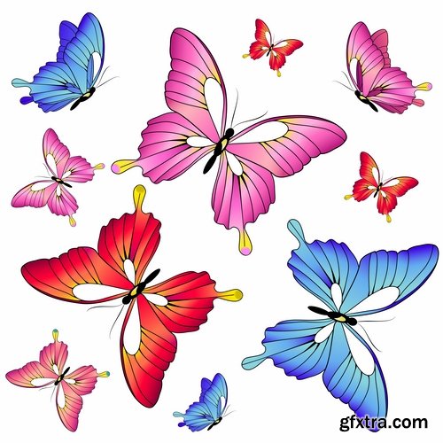 Collection of butterfly wing insect vector image 25 EPS