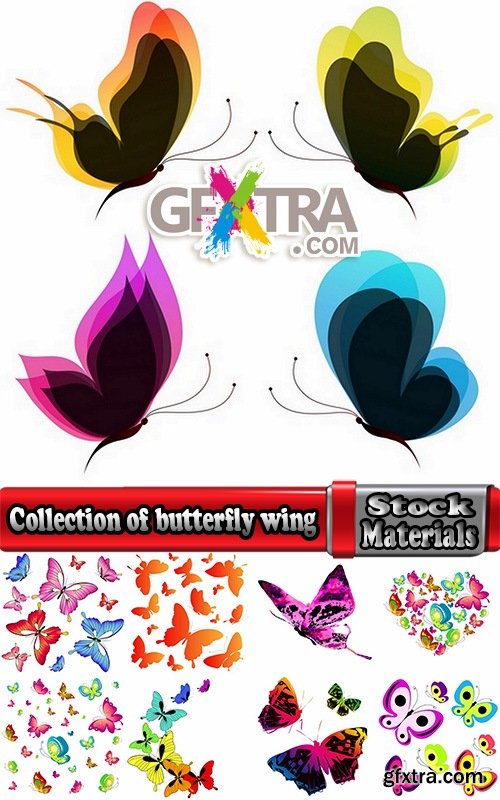 Collection of butterfly wing insect vector image 25 EPS