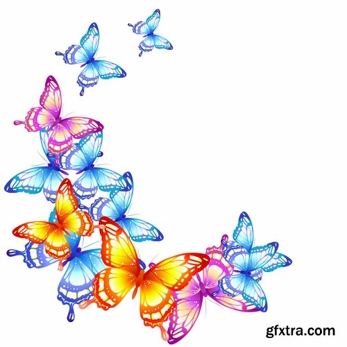 Collection of butterfly wing insect vector image 25 EPS