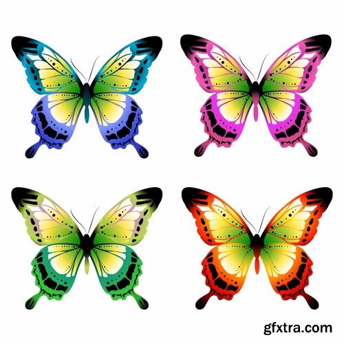 Collection of butterfly wing insect vector image 25 EPS