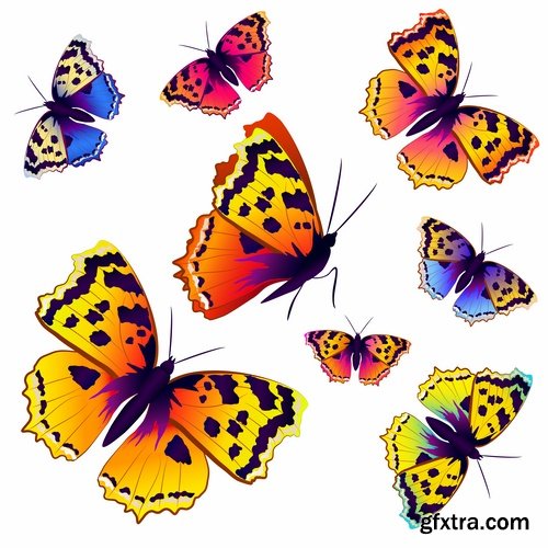 Collection of butterfly wing insect vector image 25 EPS