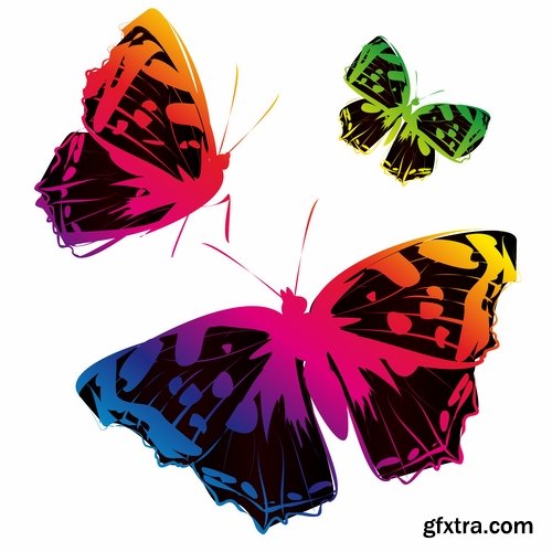 Collection of butterfly wing insect vector image 25 EPS