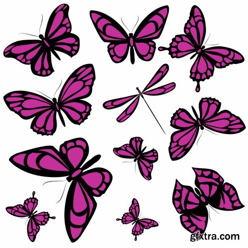 Collection of butterfly wing insect vector image 25 EPS