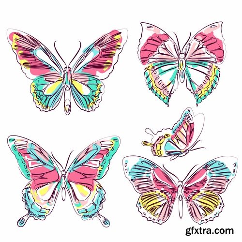 Collection of butterfly wing insect vector image 25 EPS