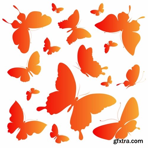 Collection of butterfly wing insect vector image 25 EPS