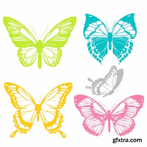 Collection of butterfly wing insect vector image 25 EPS