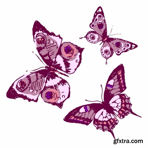 Collection of butterfly wing insect vector image 25 EPS