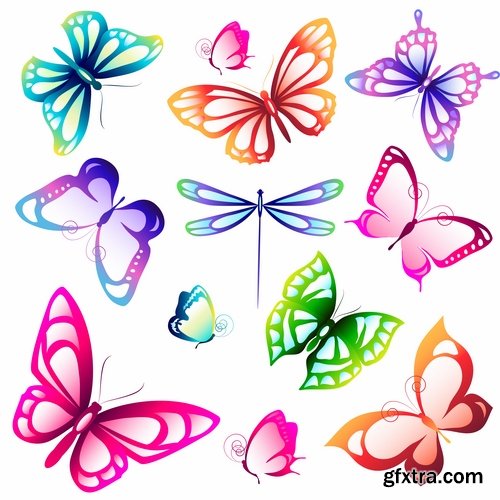 Collection of butterfly wing insect vector image 25 EPS