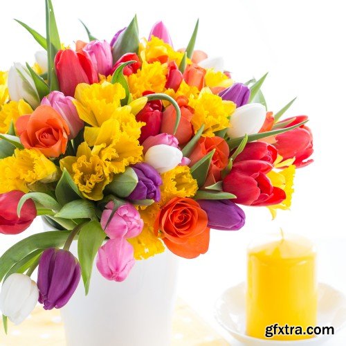 Beautiful tulips, spring flowers