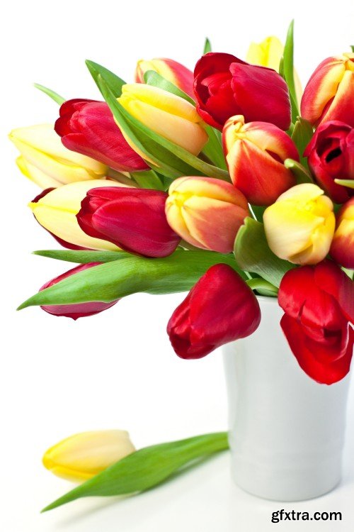 Beautiful tulips, spring flowers