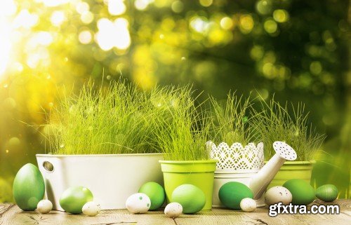 Easter background with chicks, flowers and Easter eggs