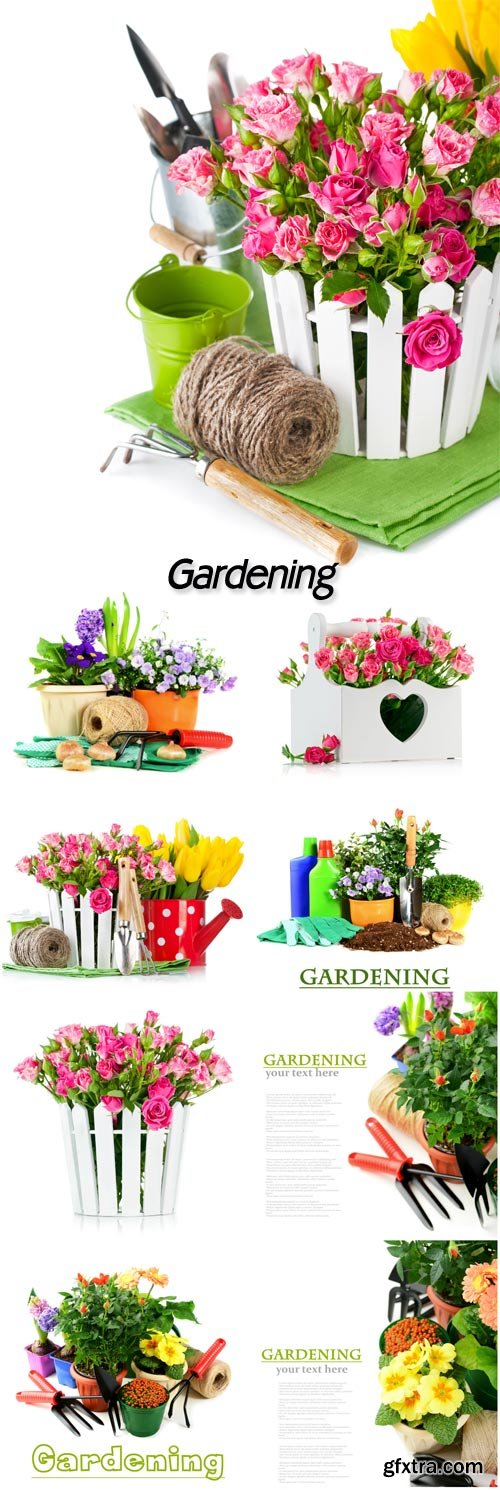 Gardening, flowers and gardening tools on a white background