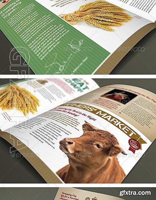 GraphicRiver - 4 Page A4 and US Letter Organic Newsletter 7413416