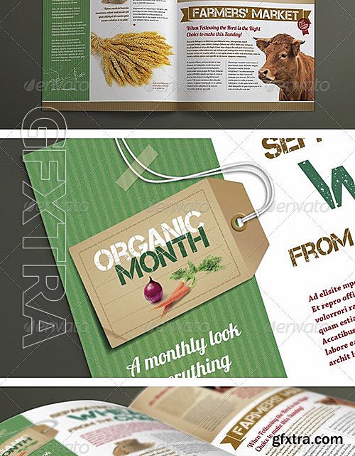 GraphicRiver - 4 Page A4 and US Letter Organic Newsletter 7413416