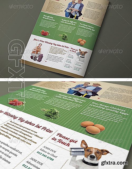 GraphicRiver - 4 Page A4 and US Letter Organic Newsletter 7413416