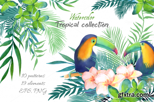 CreativeMarket Tropical collection 562316