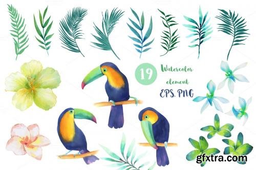 CreativeMarket Tropical collection 562316