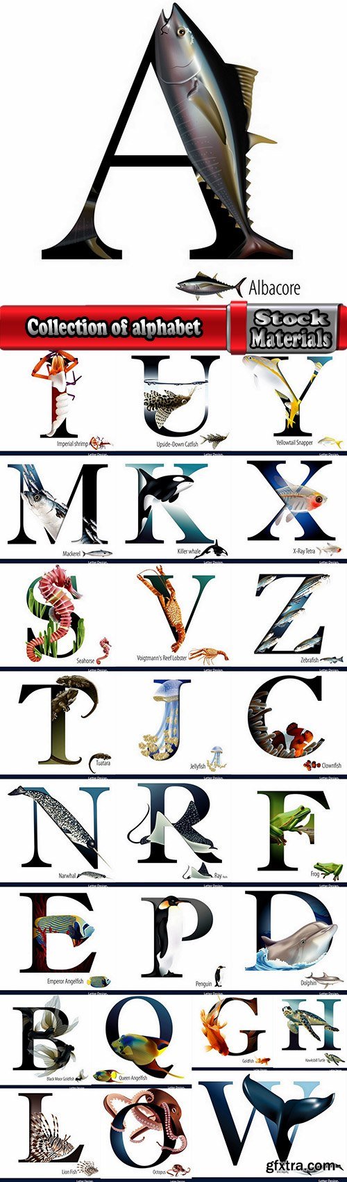 Collection of alphabet letter with an animal vector image 26 EPS